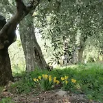 Il Palagetto דירה *
