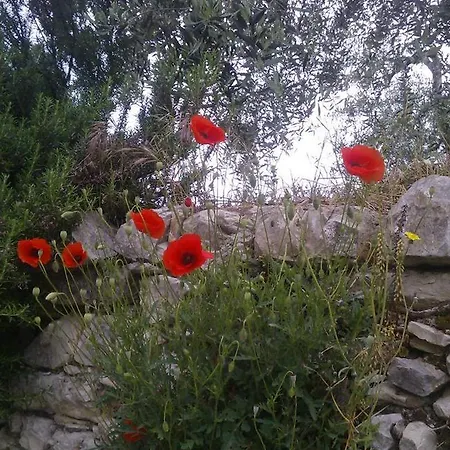 Apartmán Il Palagetto *