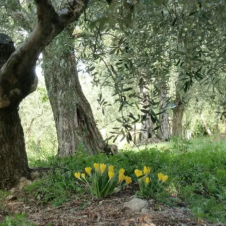 Il Palagetto Apartment *